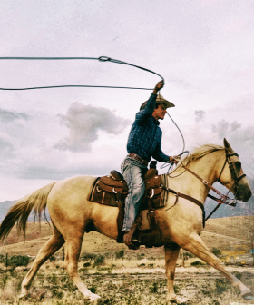 Cop Takes Down Thief Like A Sherriff From The 'Wild West' - On Horseback!